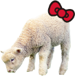共感マーケティング